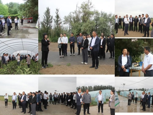 640 - 2023-07-17T085415.650.jpg