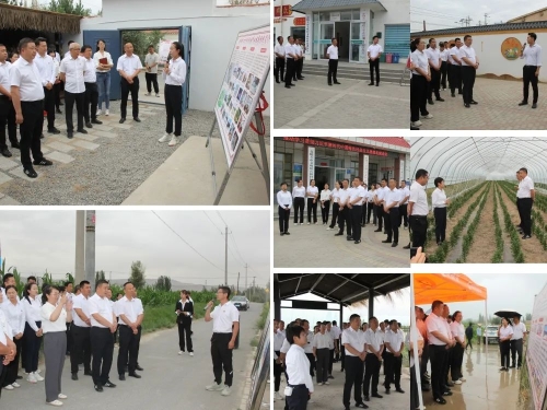 640 - 2023-07-17T085342.594.jpg