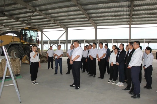 640 - 2023-07-17T085219.137.jpg