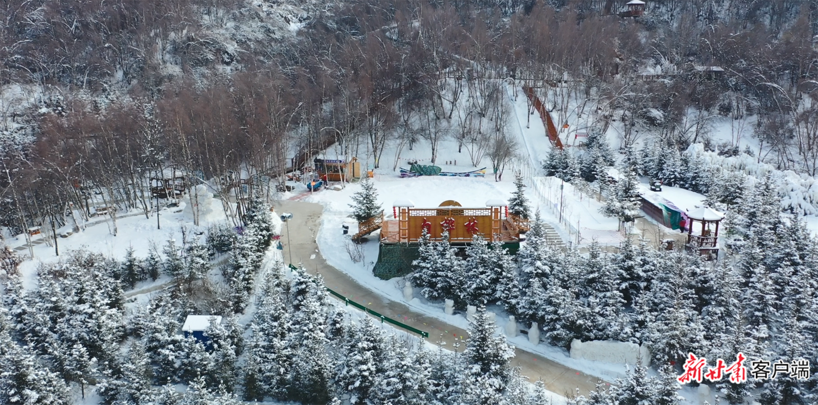 康乐县白桦 林.png